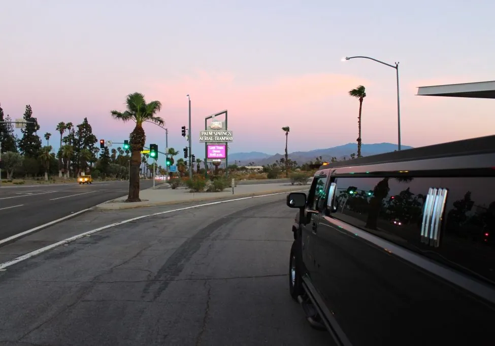 Palm Springs Limousine Services fleet lined up