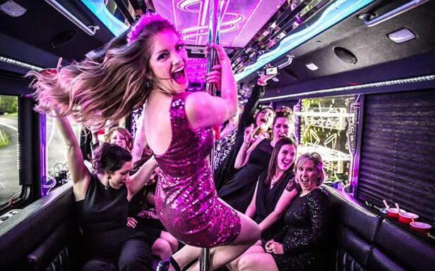 Group celebrating in a party bus